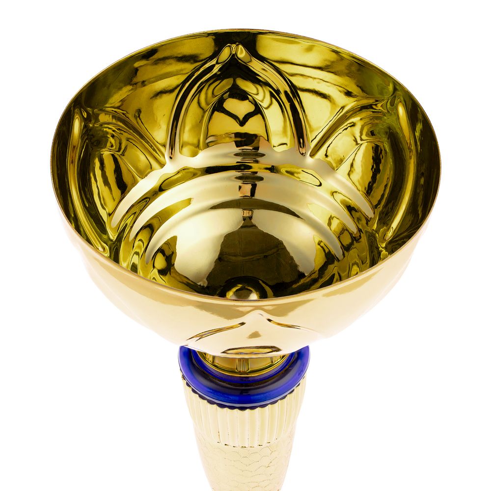 Кубок Awardee, большой, синий в Туле