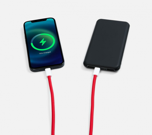 Кабель-ланьярд energyFlex Pro, красный в Туле